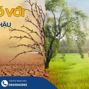 quan trắc mực nước ngầm